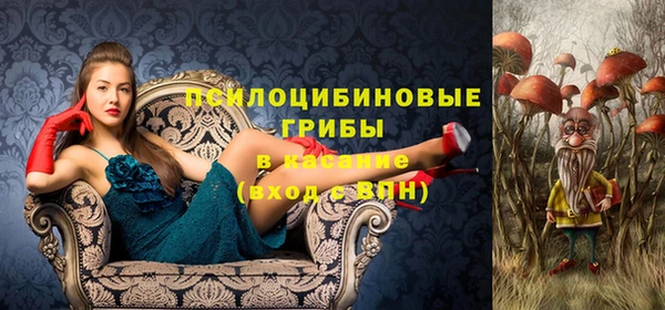 mdma Богданович