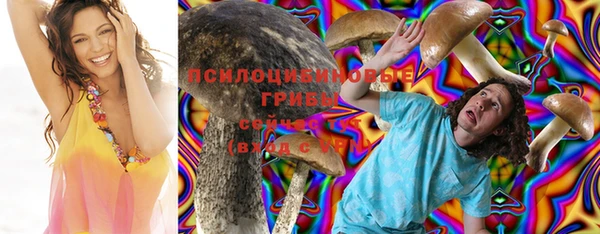 прущий лед Богородицк