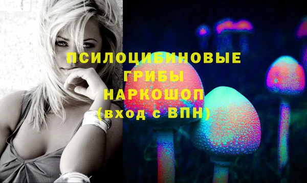 MDMA Богородск