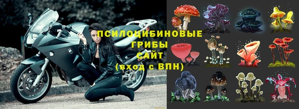 прущий лед Богородицк