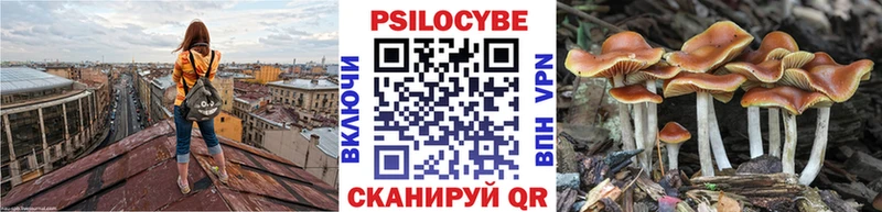 Купить закладки  Грязовец  Псилоцибиновые грибы прущие грибы 